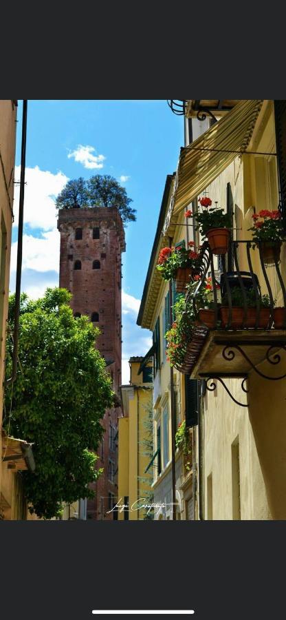 Casa Luba Hotel Lucca Eksteriør billede